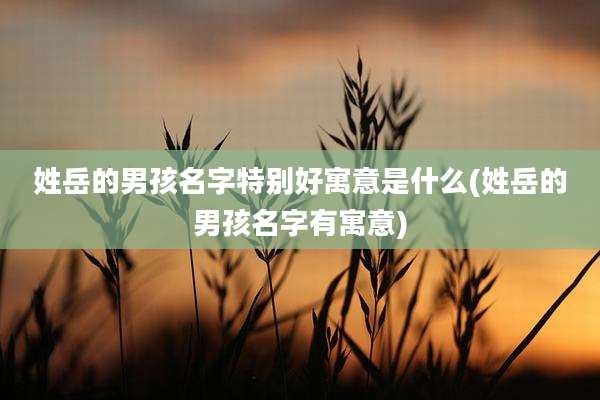 姓岳的男孩名字特别好寓意是什么(姓岳的男孩名字有寓意)