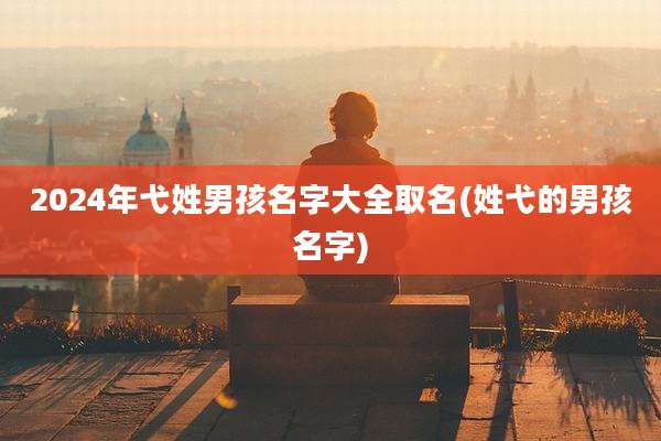 2024年弋姓男孩名字大全取名(姓弋的男孩名字)
