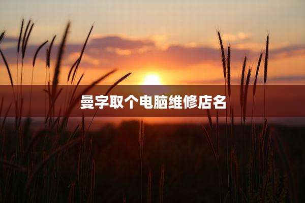 曼字取个电脑维修店名