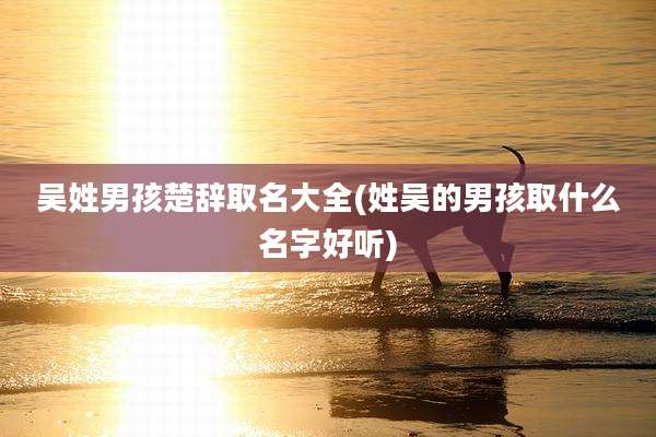 吴姓男孩楚辞取名大全(姓吴的男孩取什么名字好听)