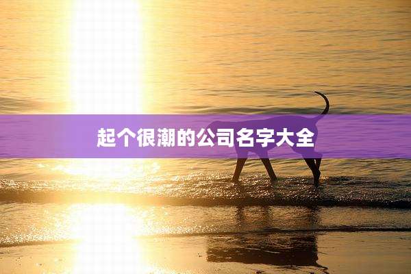 起个很潮的公司名字大全