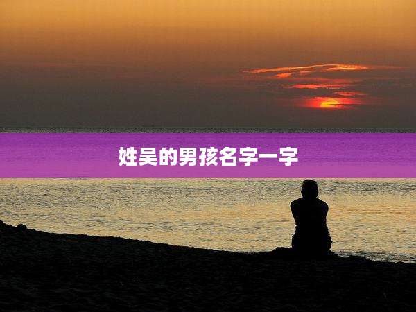 姓吴的男孩名字一字