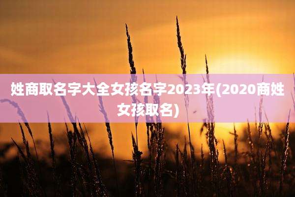 姓商取名字大全女孩名字2023年(2020商姓女孩取名)