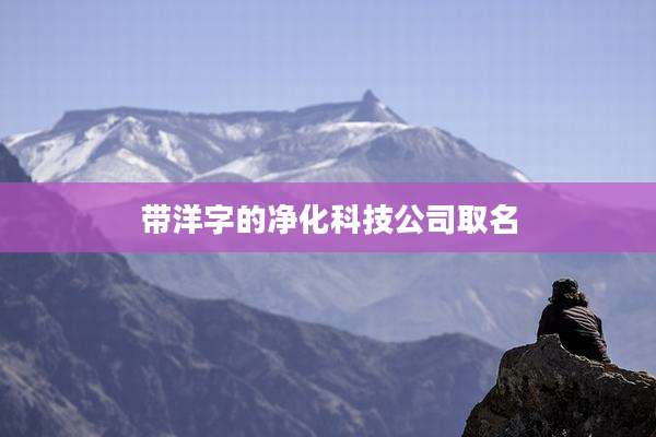 带洋字的净化科技公司取名