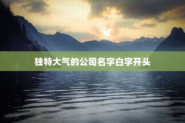 独特大气的公司名字白字开头
