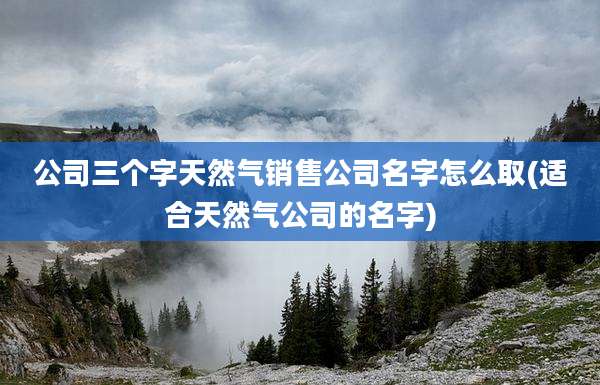 公司三个字天然气销售公司名字怎么取(适合天然气公司的名字)