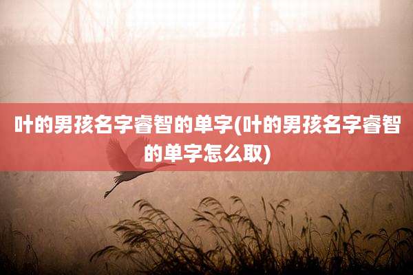 叶的男孩名字睿智的单字(叶的男孩名字睿智的单字怎么取)