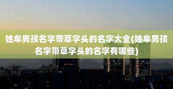 姓牟男孩名字带草字头的名字大全(姓牟男孩名字带草字头的名字有哪些)