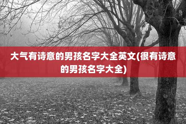 大气有诗意的男孩名字大全英文(很有诗意的男孩名字大全)