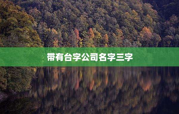 带有台字公司名字三字