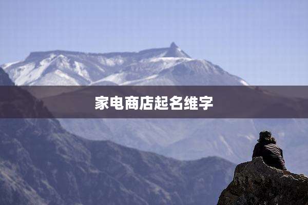 家电商店起名维字