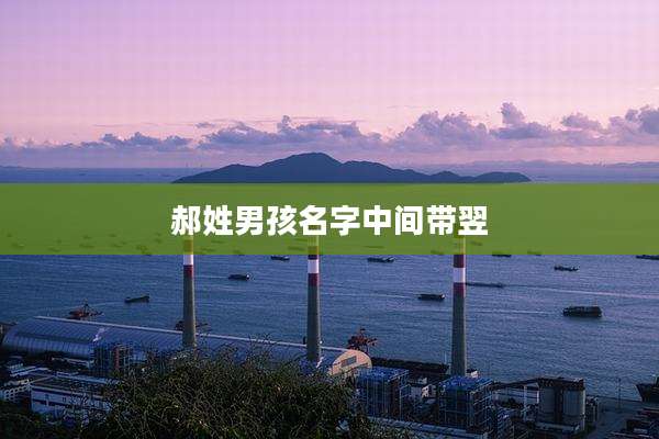 郝姓男孩名字中间带翌