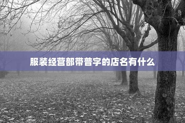 服装经营部带普字的店名有什么