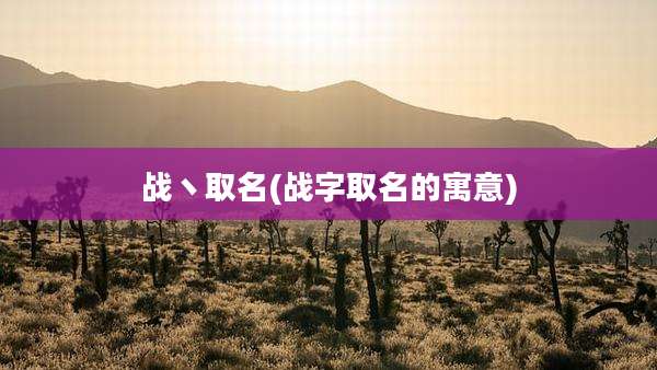 战丶取名(战字取名的寓意)
