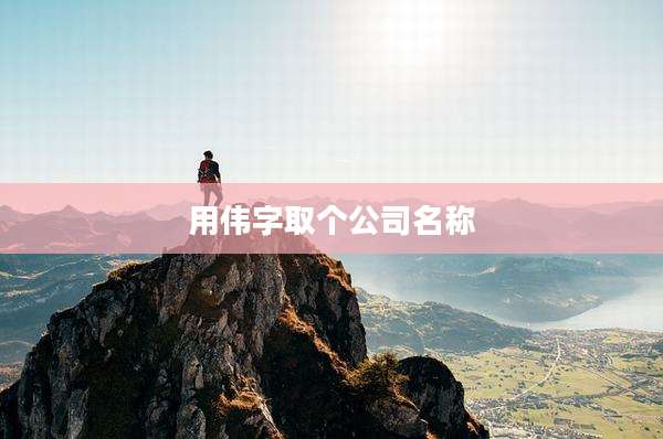 用伟字取个公司名称