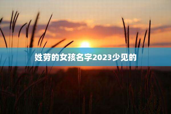 姓劳的女孩名字2023少见的