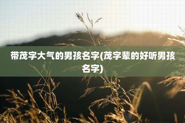 带茂字大气的男孩名字(茂字辈的好听男孩名字)