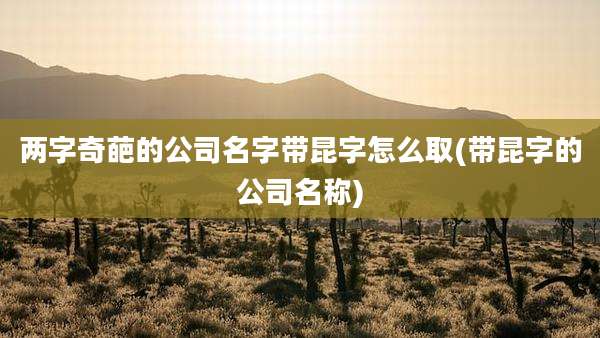 两字奇葩的公司名字带昆字怎么取(带昆字的公司名称)
