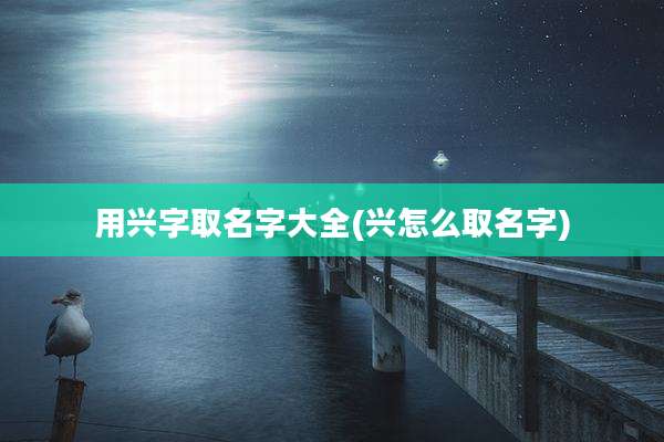 用兴字取名字大全(兴怎么取名字)