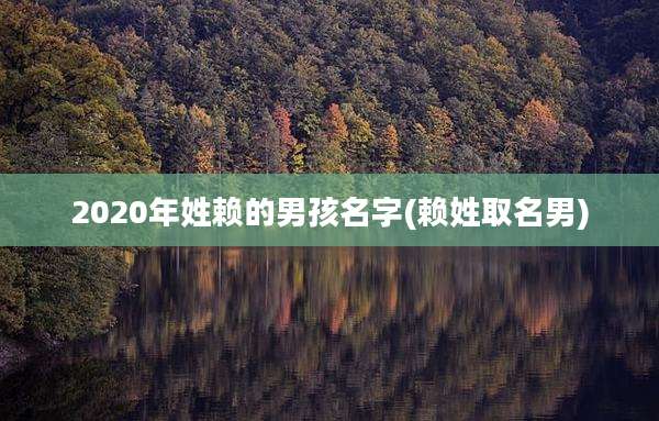 2020年姓赖的男孩名字(赖姓取名男)