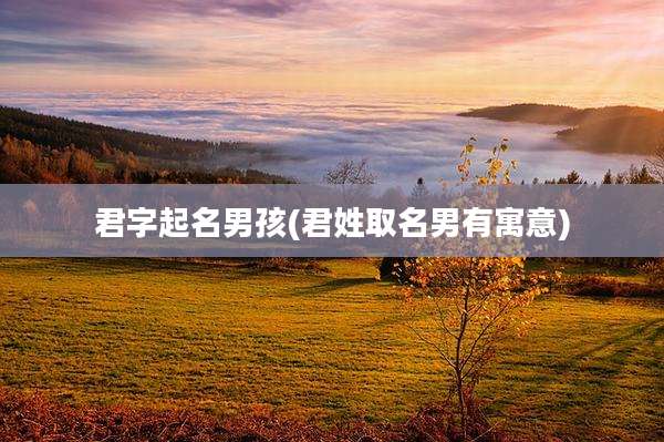 君字起名男孩(君姓取名男有寓意)