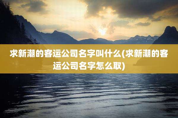求新潮的客运公司名字叫什么(求新潮的客运公司名字怎么取)