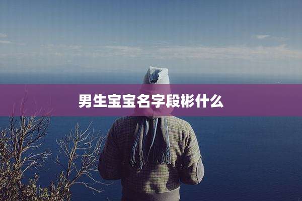 男生宝宝名字段彬什么