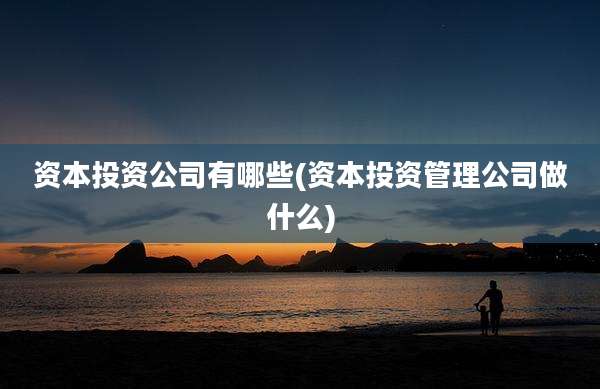 资本投资公司有哪些(资本投资管理公司做什么)