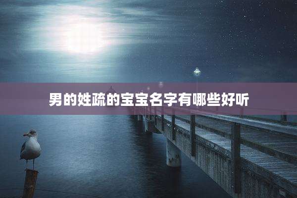 男的姓疏的宝宝名字有哪些好听