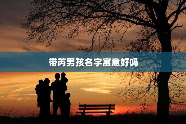 带芮男孩名字寓意好吗