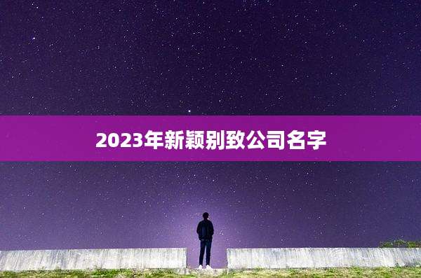 2023年新颖别致公司名字