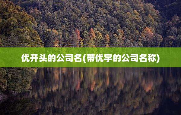 优开头的公司名(带优字的公司名称)