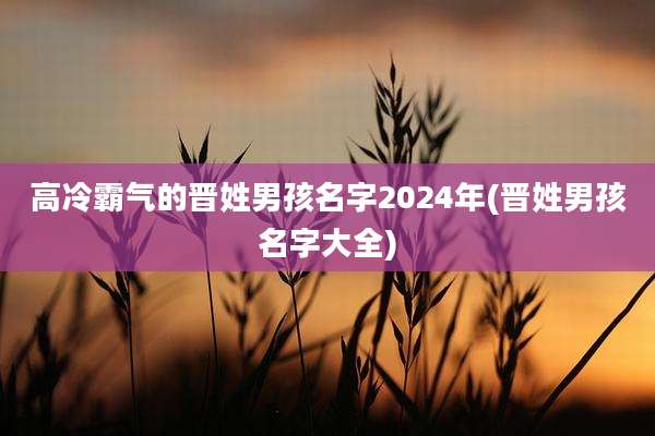 高冷霸气的晋姓男孩名字2024年(晋姓男孩名字大全)