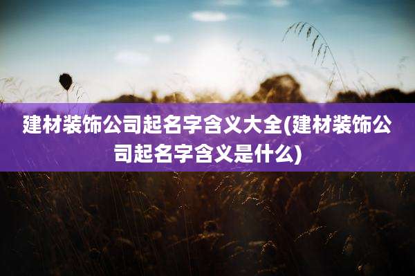 建材装饰公司起名字含义大全(建材装饰公司起名字含义是什么)