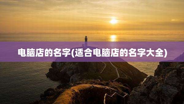 电脑店的名字(适合电脑店的名字大全)