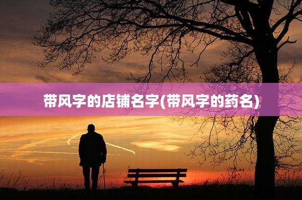 带风字的店铺名字(带风字的药名)