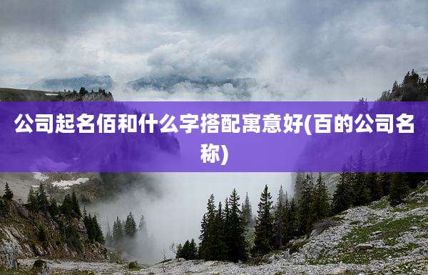 公司起名佰和什么字搭配寓意好(百的公司名称)