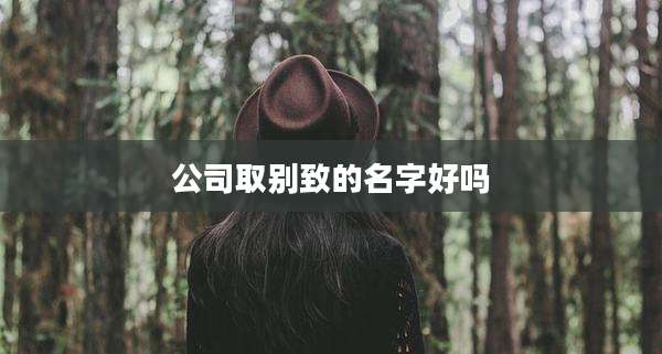 公司取别致的名字好吗