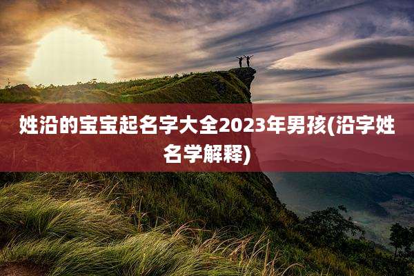 姓沿的宝宝起名字大全2023年男孩(沿字姓名学解释)