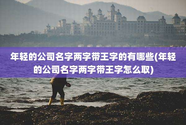 年轻的公司名字两字带王字的有哪些(年轻的公司名字两字带王字怎么取)
