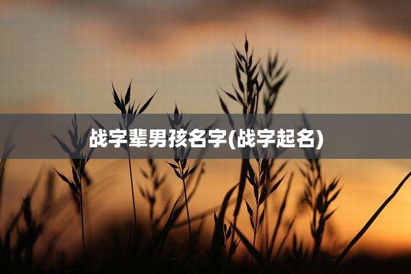 战字辈男孩名字(战字起名)