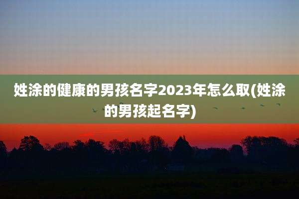 姓涂的健康的男孩名字2023年怎么取(姓涂的男孩起名字)