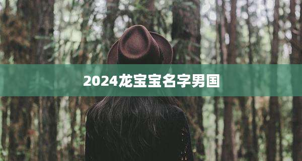 2024龙宝宝名字男国