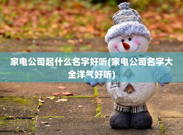 家电公司起什么名字好听(家电公司名字大全洋气好听)