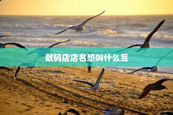 数码店店名想叫什么互