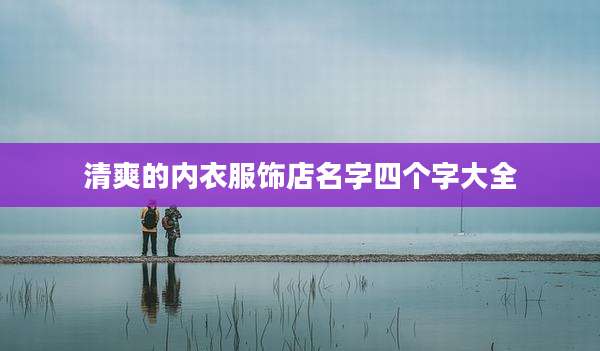 清爽的内衣服饰店名字四个字大全