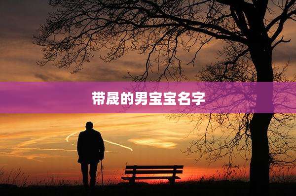 带晟的男宝宝名字