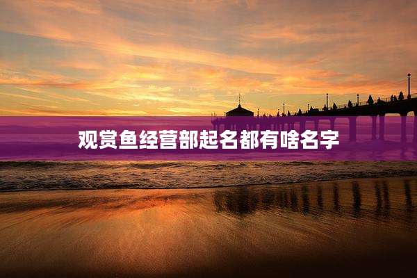 观赏鱼经营部起名都有啥名字