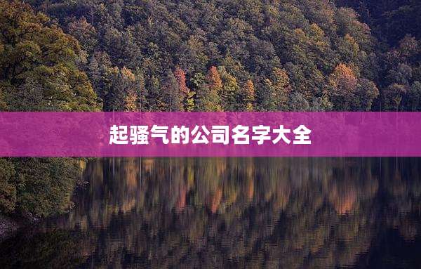 起骚气的公司名字大全