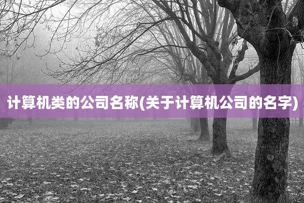 计算机类的公司名称(关于计算机公司的名字)